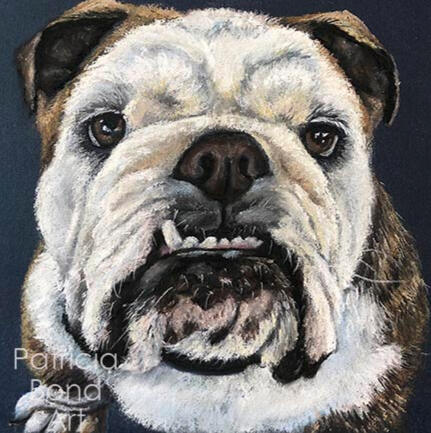 Blue the Bulldog pastel pet portrait of Blue the brindel bulldog with a snaggle tooth and soulful eyes